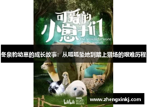 冬泉豹幼崽的成长故事：从呱呱坠地到踏上猎场的艰难历程